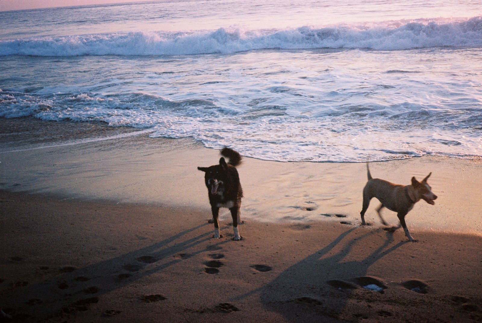 Puerto Escondido, Mexico